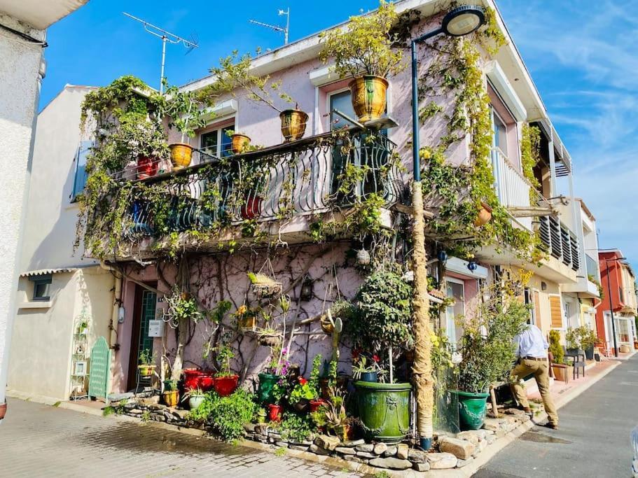 "Le Jardin" Superbe T2 Parking, Clim & Terrasse ! Apartment Sète Exterior foto